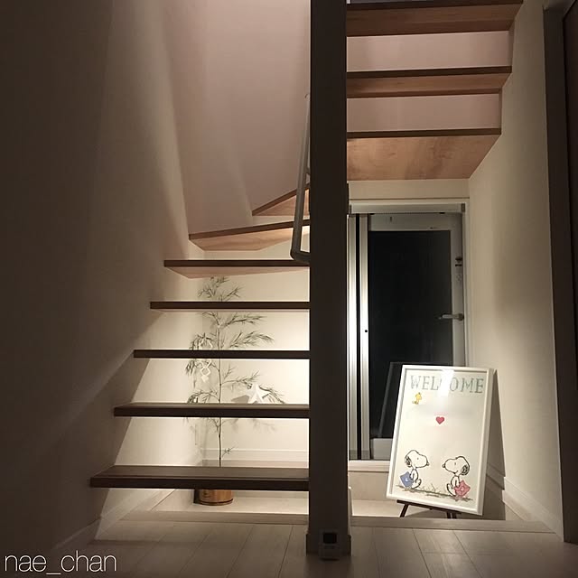 nae_chanさんの実例写真