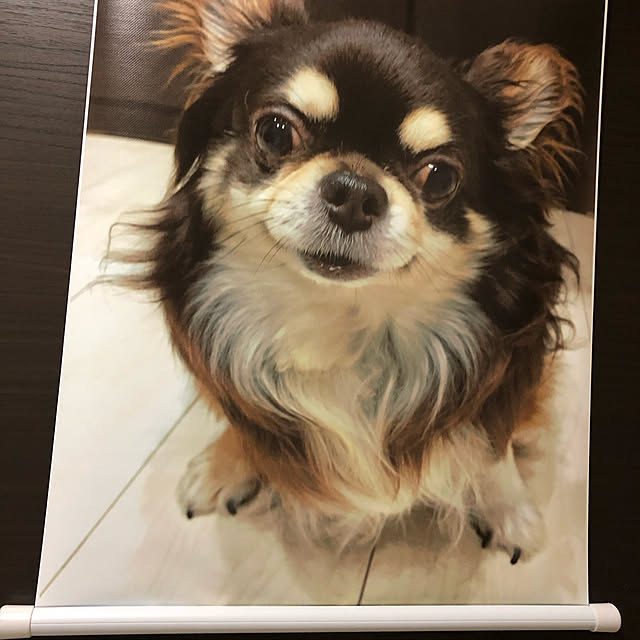 chocoさんの実例写真