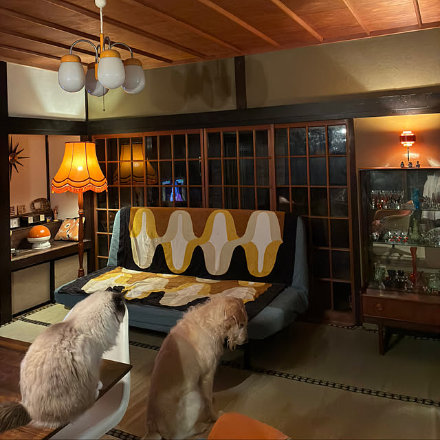 joshua.treeさんの実例写真