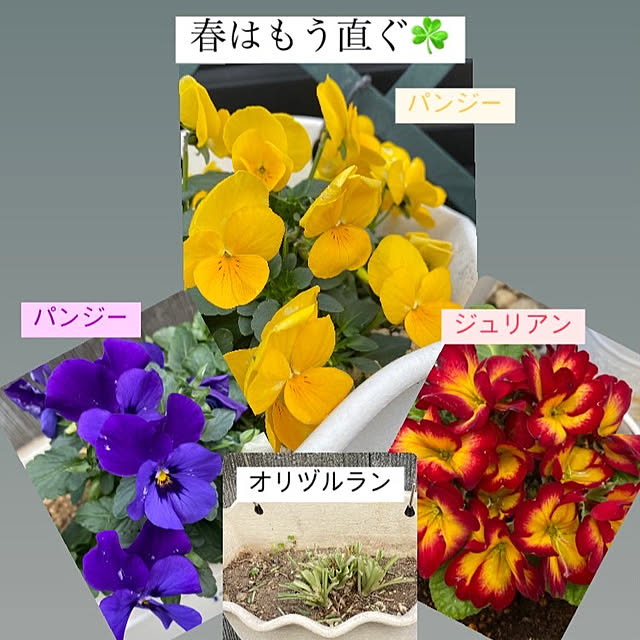 YuuKoさんの実例写真