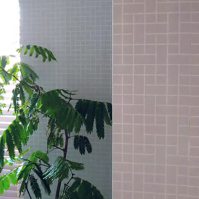 champetreさんの実例写真