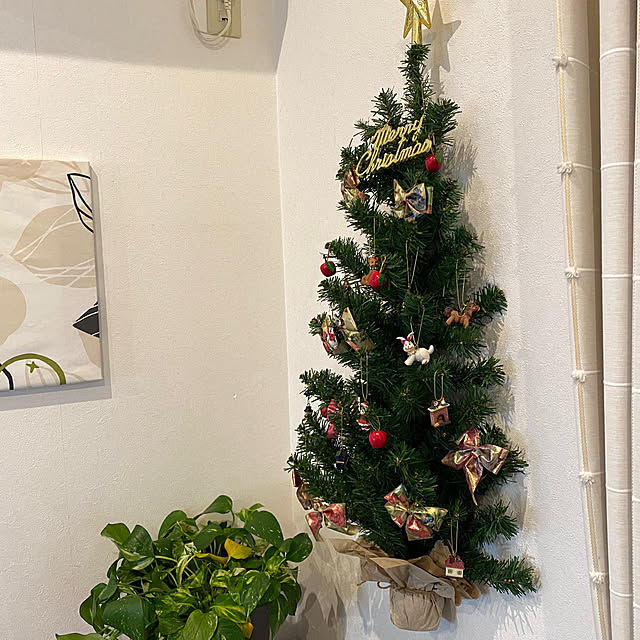 CASSISさんの部屋
