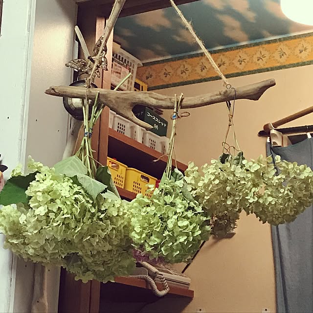 Yukiyoさんの実例写真