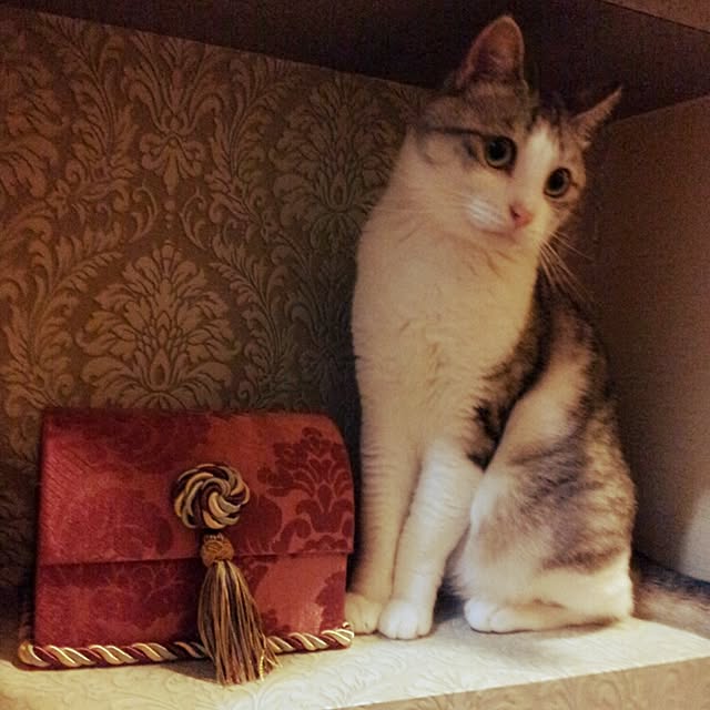 emmyyさんの実例写真