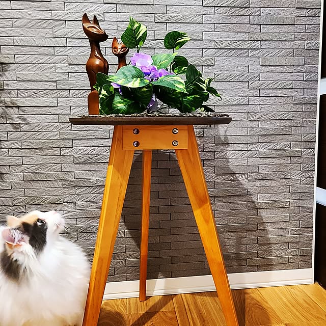 akiko6193さんの部屋