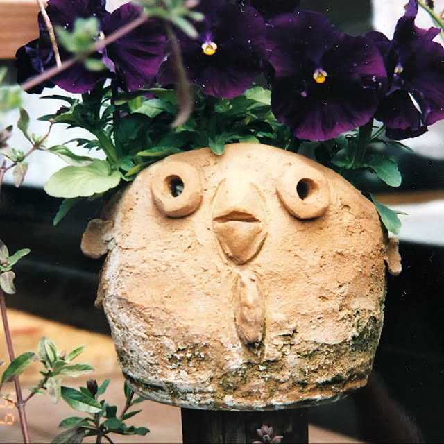 makaさんの実例写真