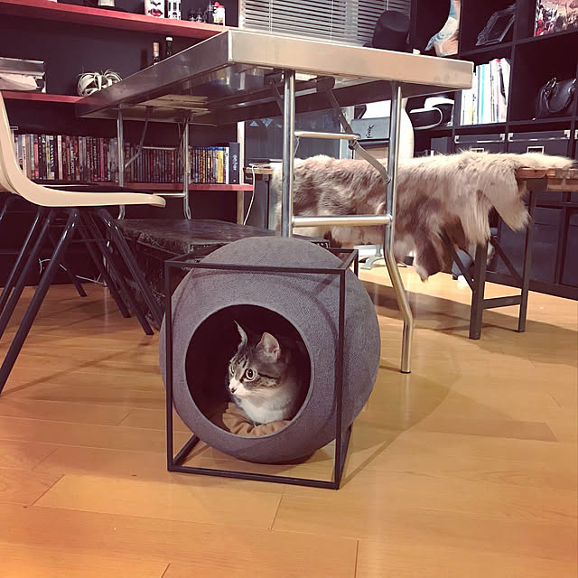 chihiroさんの実例写真