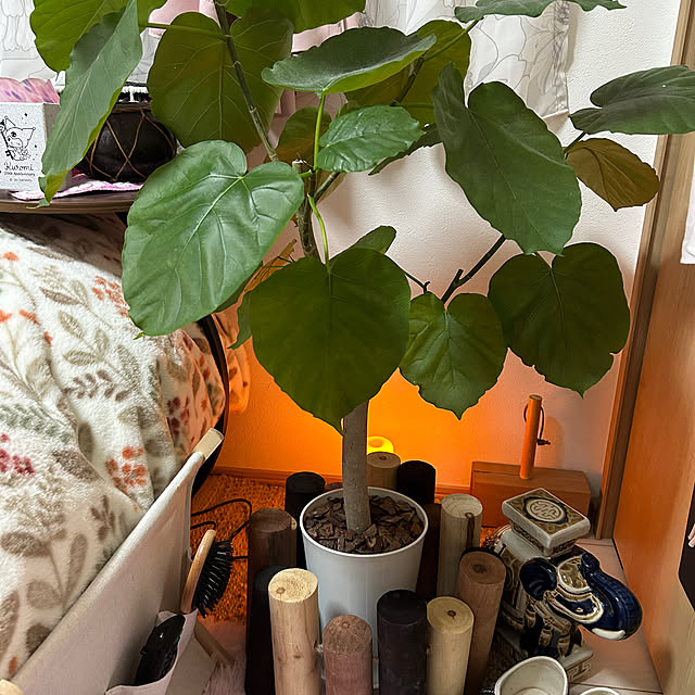 ouka.さんの部屋