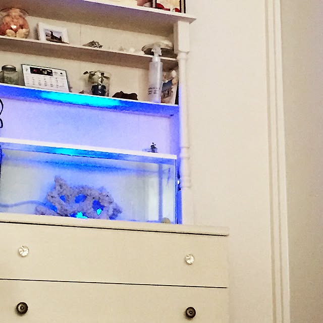 Yuppiyさんの実例写真