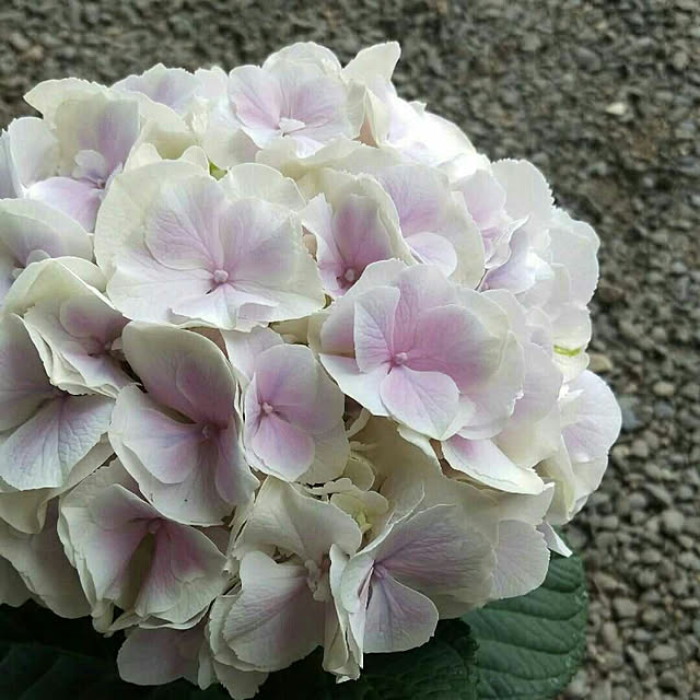 HIRO.TA29さんの実例写真