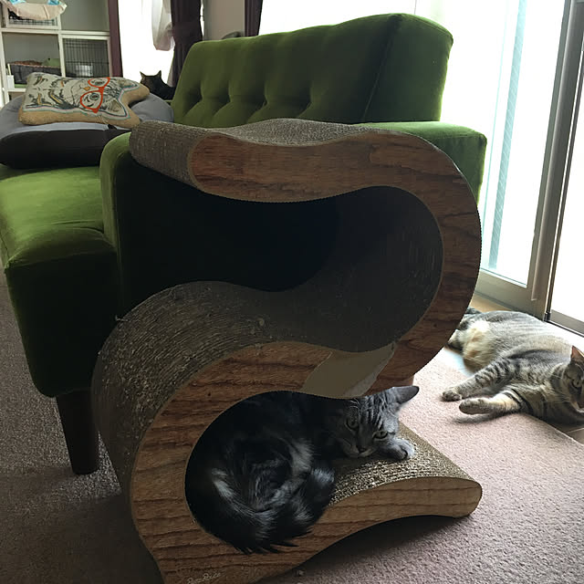 mikomaruさんの実例写真