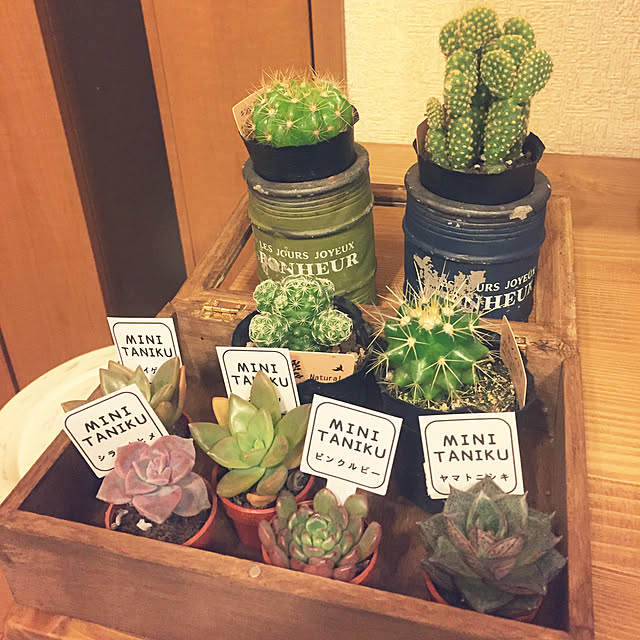 tenmaruさんの実例写真