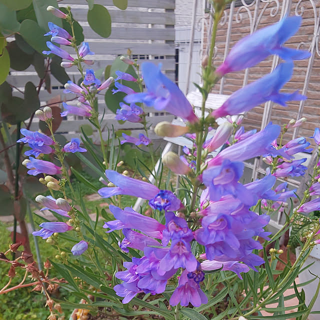 A.hさんの実例写真