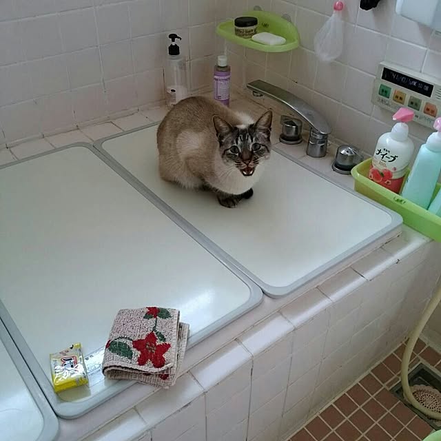 onmenさんの実例写真