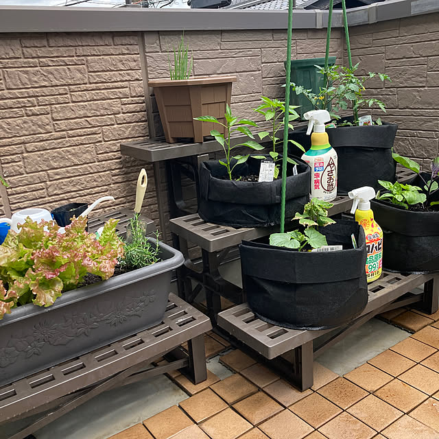 Omachanさんの部屋