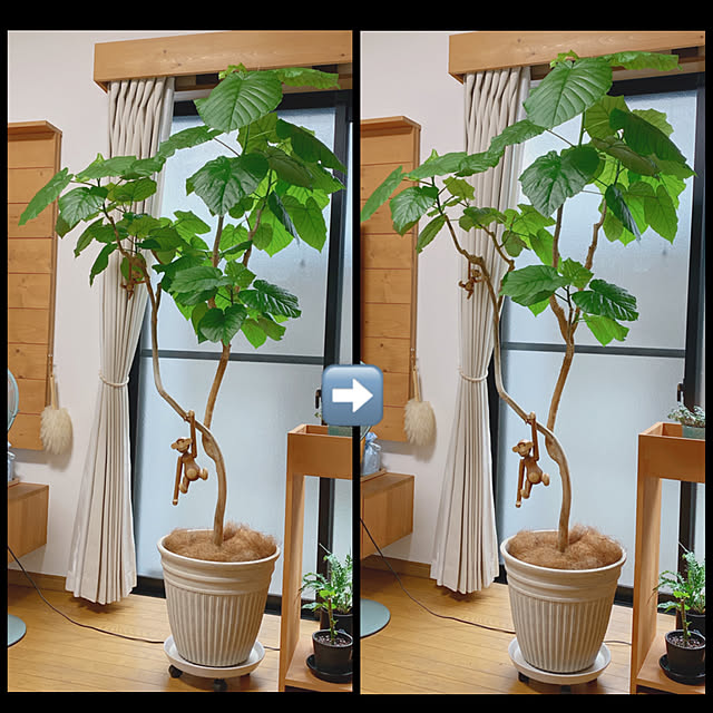 yukaさんの実例写真