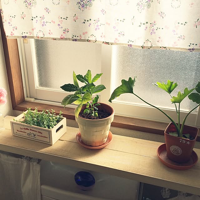 hanaさんの実例写真