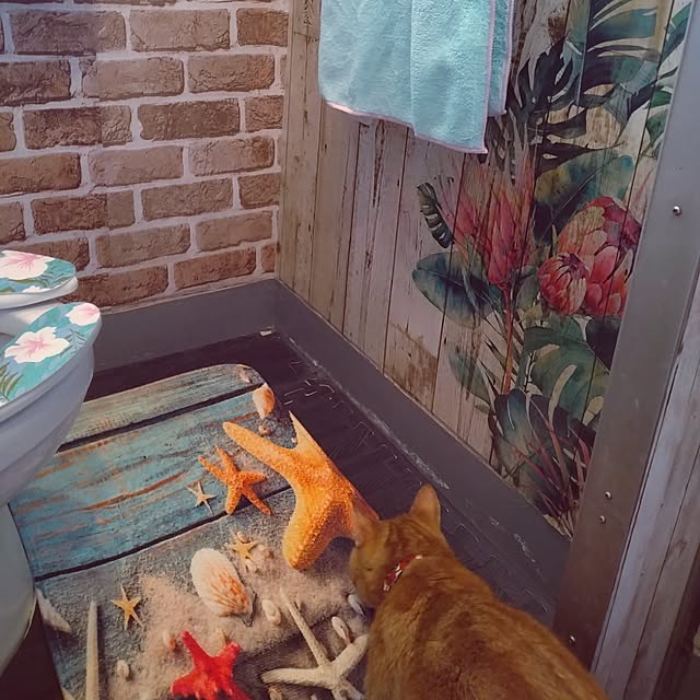 runaさんの実例写真