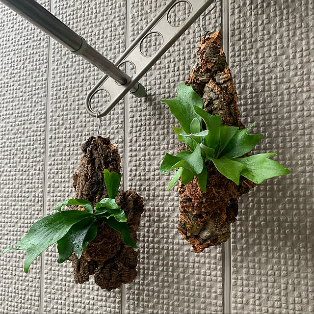 yukarin-gardenさんの実例写真