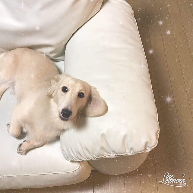 tmさんの実例写真