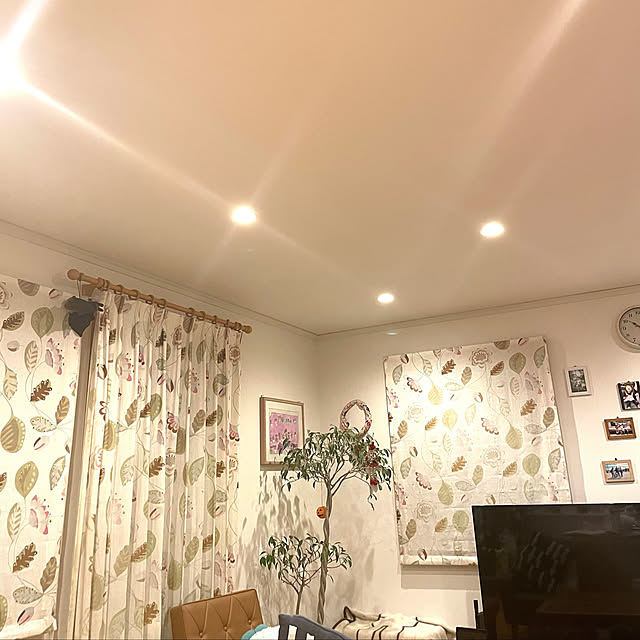 yureruasahiさんの実例写真
