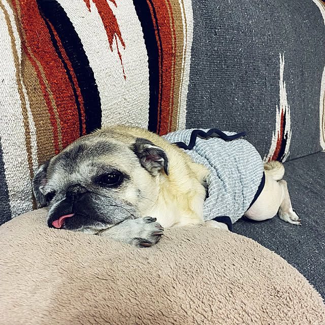 kellyさんの実例写真