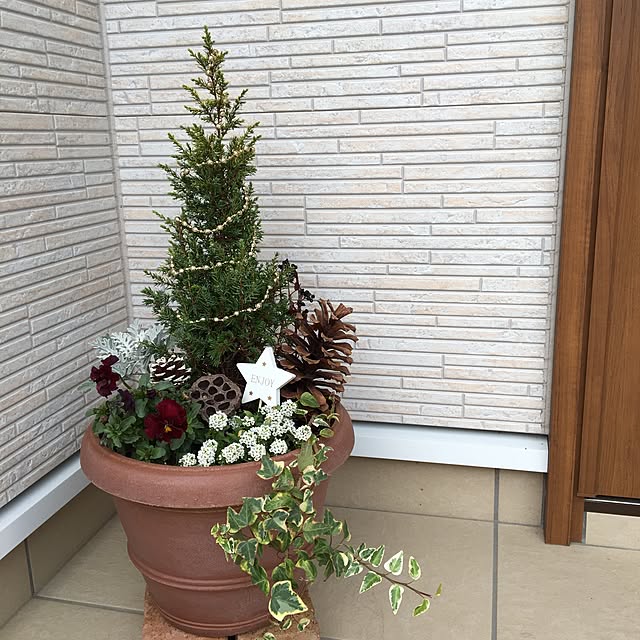 コニファー クリスマス飾りのおしゃれなアレンジ・飾り方の コニファー クリスマス飾りのおしゃれなアレンジ・飾り方の