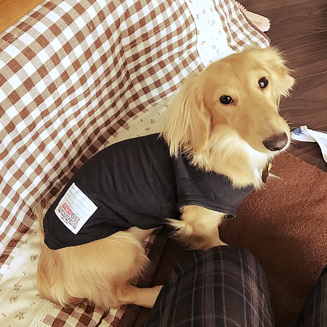 -Riley-mama.-さんの実例写真