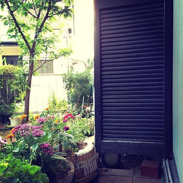 kao.320さんの実例写真