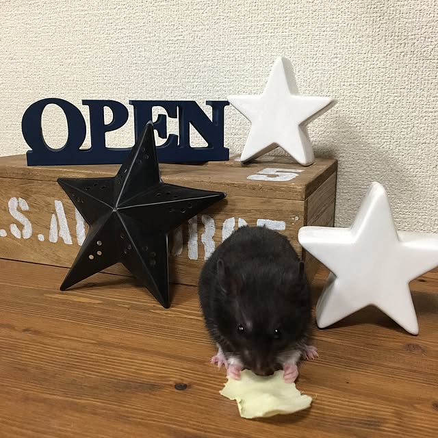 yunさんの実例写真
