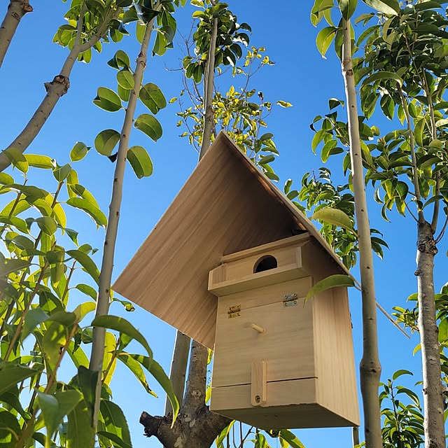 hossikouchouさんの部屋