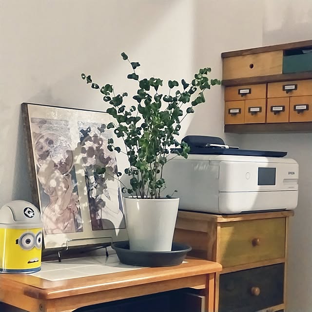 mi-saさんの部屋