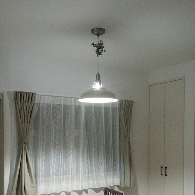 carp445さんの実例写真
