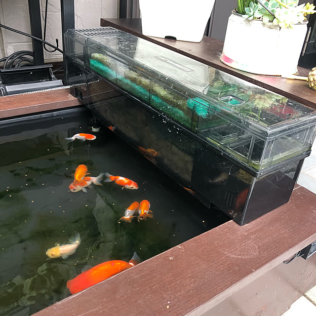 kanzi3719kankanさんの実例写真