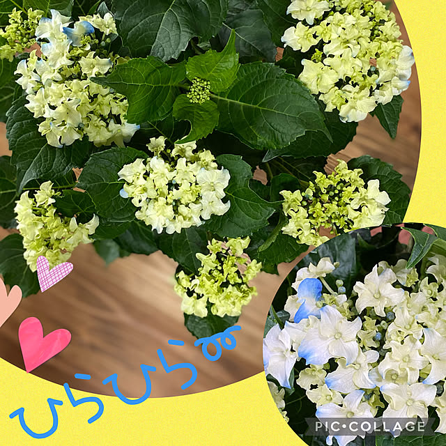 Smilkazuさんの実例写真