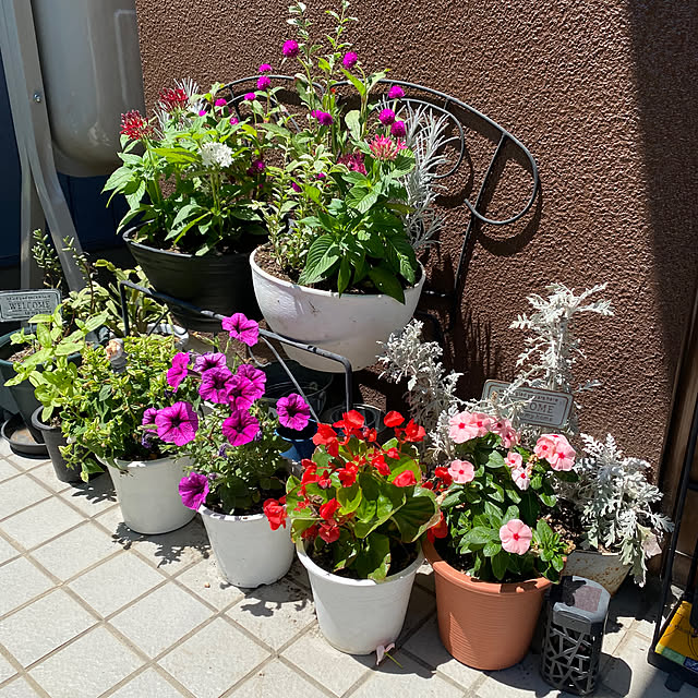 aimina0107さんの部屋
