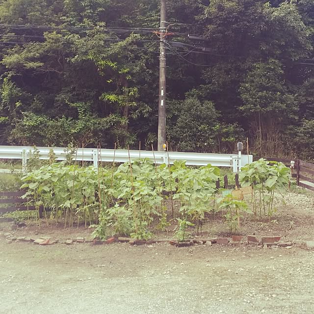 kouchangさんの実例写真