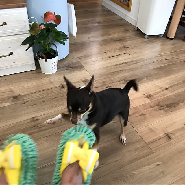 nacchintunnさんの実例写真