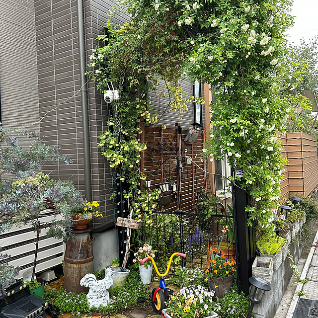 acokiwiさんの部屋