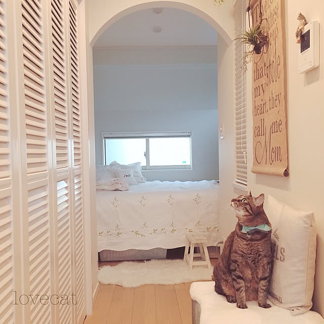 lovecatさんの実例写真
