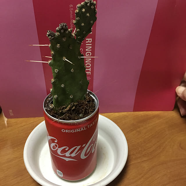 nanaさんの実例写真