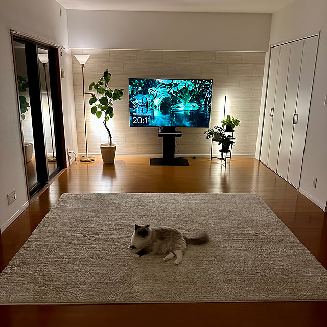 luluさんの部屋