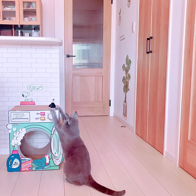 snoopyさんの部屋