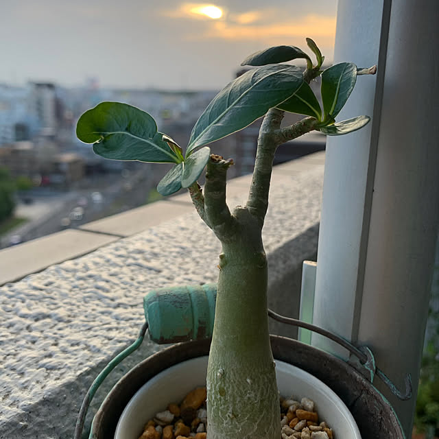 JUNさんの実例写真
