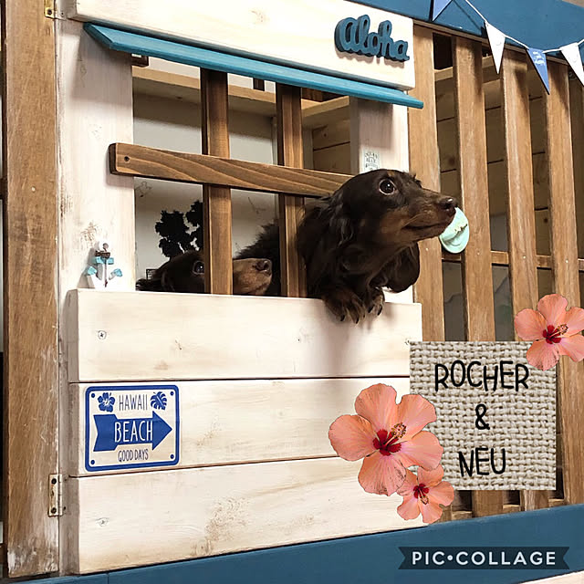 Alohaさんの実例写真