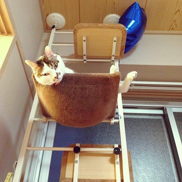 Sakiさんの実例写真