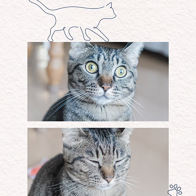 oliveさんの実例写真