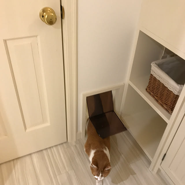 sakuraさんの部屋
