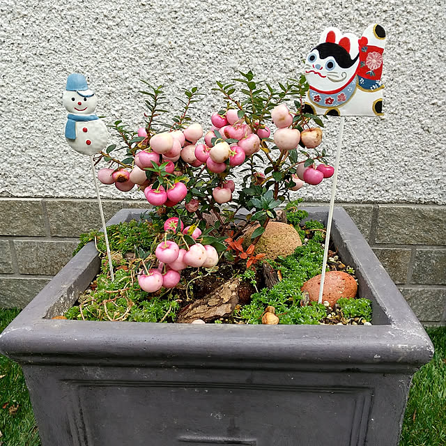 Rさんの実例写真