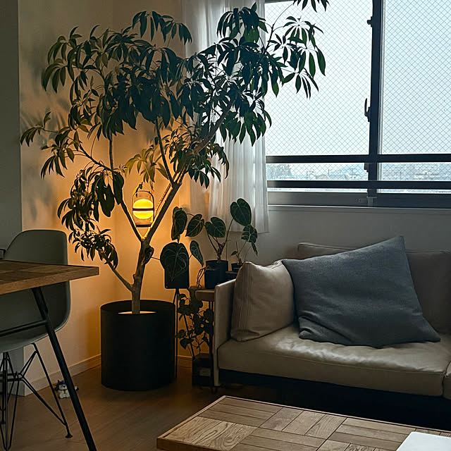 mumuさんの実例写真